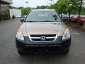 Mojave Mist Metallic - CR-V LX 4WD Photo No. 6