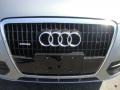 2009 Quartz Gray Metallic Audi Q5 3.2 Premium quattro  photo #29