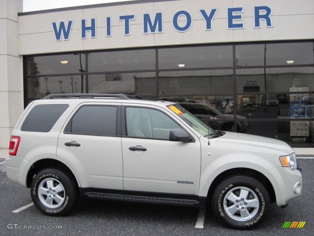 2008 Escape XLT V6 4WD - Light Sage Metallic / Stone photo #1