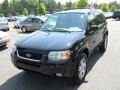 2003 Black Clearcoat Ford Escape Limited  photo #6