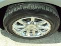 Silver Steel Metallic - 300 C HEMI Photo No. 14