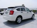 Stone White - Caliber SXT Photo No. 5