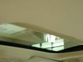 Light Platinum - DTS Luxury II Photo No. 12