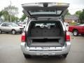 Titanium Metallic - 4Runner Limited 4x4 Photo No. 9