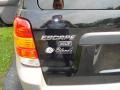 2002 Black Clearcoat Ford Escape XLT V6 4WD  photo #20