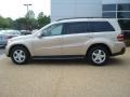 2007 Desert Silver Metallic Mercedes-Benz GL 450  photo #3