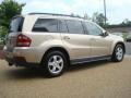 2007 Desert Silver Metallic Mercedes-Benz GL 450  photo #5