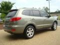 2007 Natural Khaki Green Hyundai Santa Fe Limited  photo #6