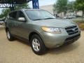 2007 Natural Khaki Green Hyundai Santa Fe GLS  photo #7