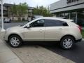 Gold Mist - SRX 4 V6 AWD Photo No. 7