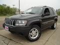 2004 Brillant Black Crystal Pearl Jeep Grand Cherokee Laredo 4x4  photo #1