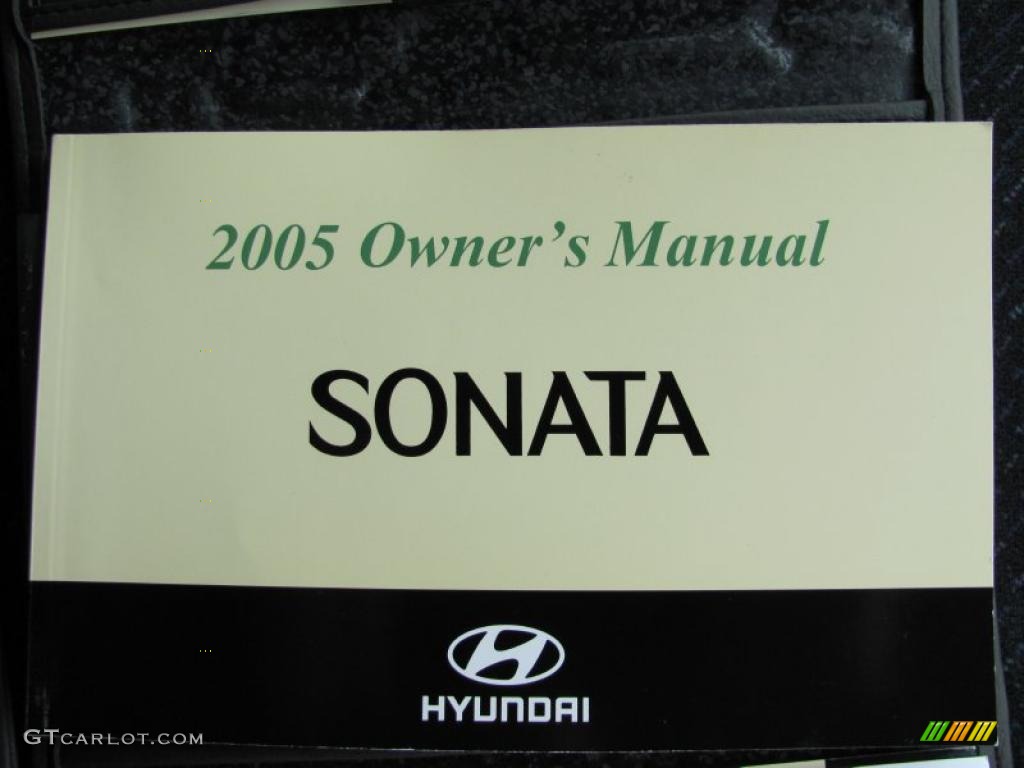 2005 Sonata GL - Bright Silver / Black photo #11