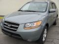 2008 Platinum Sage Hyundai Santa Fe Limited 4WD  photo #1