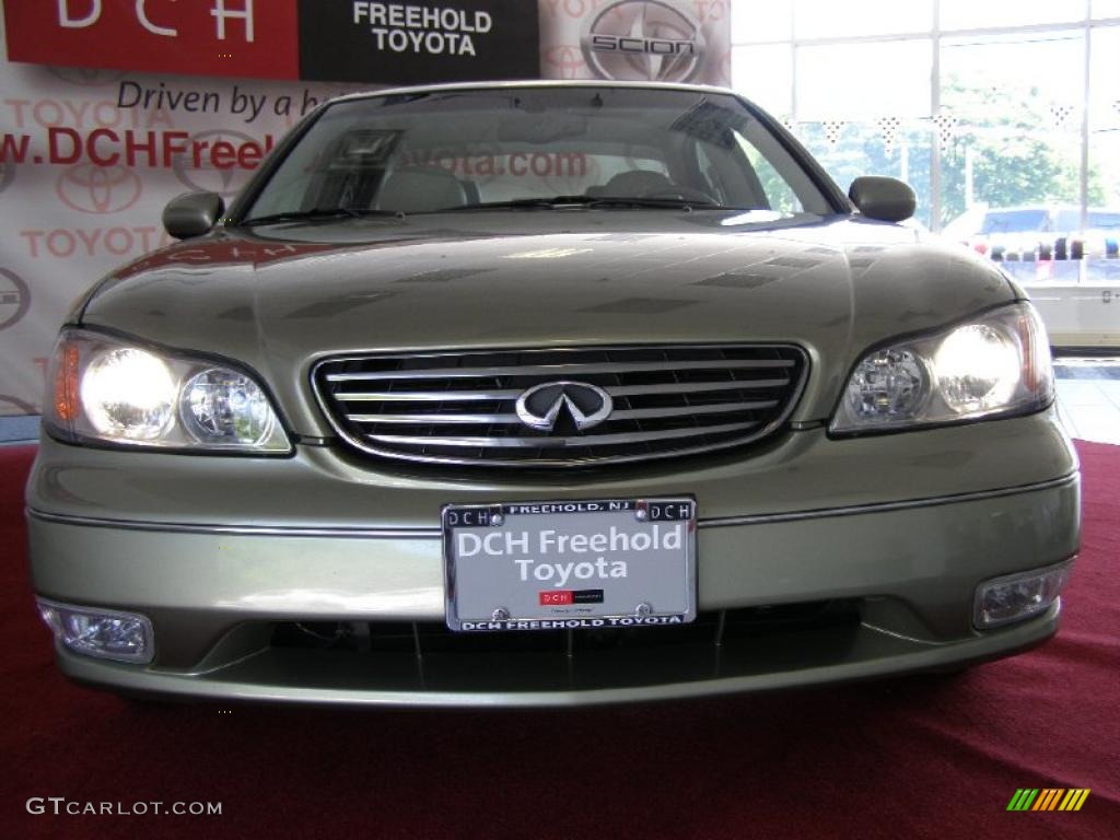 2003 I 35 - Millennium Jade Green / Willow photo #4