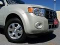 2009 Light Sage Metallic Ford Escape Limited  photo #2