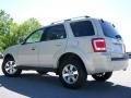 2009 Light Sage Metallic Ford Escape Limited  photo #4