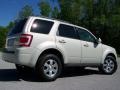 2009 Light Sage Metallic Ford Escape Limited  photo #7