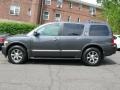 Silver Graphite - QX 56 4WD Photo No. 8