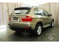 Platinum Bronze Metallic - X5 xDrive30i Photo No. 2