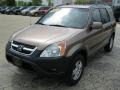 2002 Mojave Mist Metallic Honda CR-V EX 4WD  photo #2