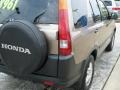 2002 Mojave Mist Metallic Honda CR-V EX 4WD  photo #8