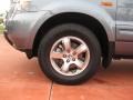 2006 Steel Blue Metallic Honda Pilot EX-L 4WD  photo #20