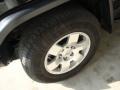 Black Diamond - FJ Cruiser 4WD Photo No. 6