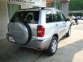 Titanium Metallic - RAV4 4WD Photo No. 2