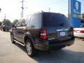 2007 Carbon Metallic Ford Explorer XLT  photo #7