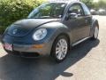 Platinum Grey - New Beetle SE Coupe Photo No. 1