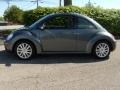 Platinum Grey - New Beetle SE Coupe Photo No. 2