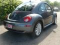 Platinum Grey - New Beetle SE Coupe Photo No. 5