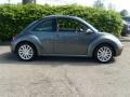 Platinum Grey - New Beetle SE Coupe Photo No. 6