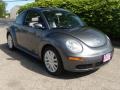 Platinum Grey - New Beetle SE Coupe Photo No. 7