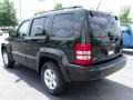 2010 Natural Green Pearl Jeep Liberty Sport  photo #2