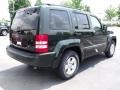 2010 Natural Green Pearl Jeep Liberty Sport  photo #3