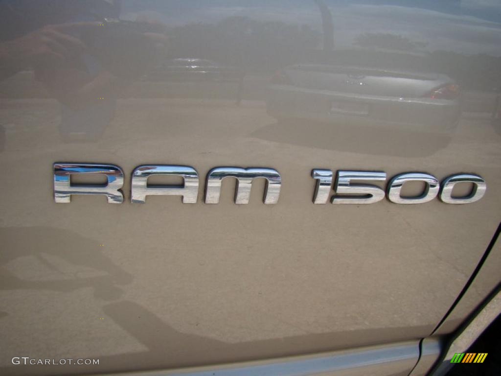 2004 Ram 1500 SLT Quad Cab - Light Almond Pearl / Taupe photo #38