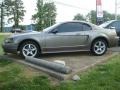 2001 Mineral Grey Metallic Ford Mustang Cobra Coupe  photo #2