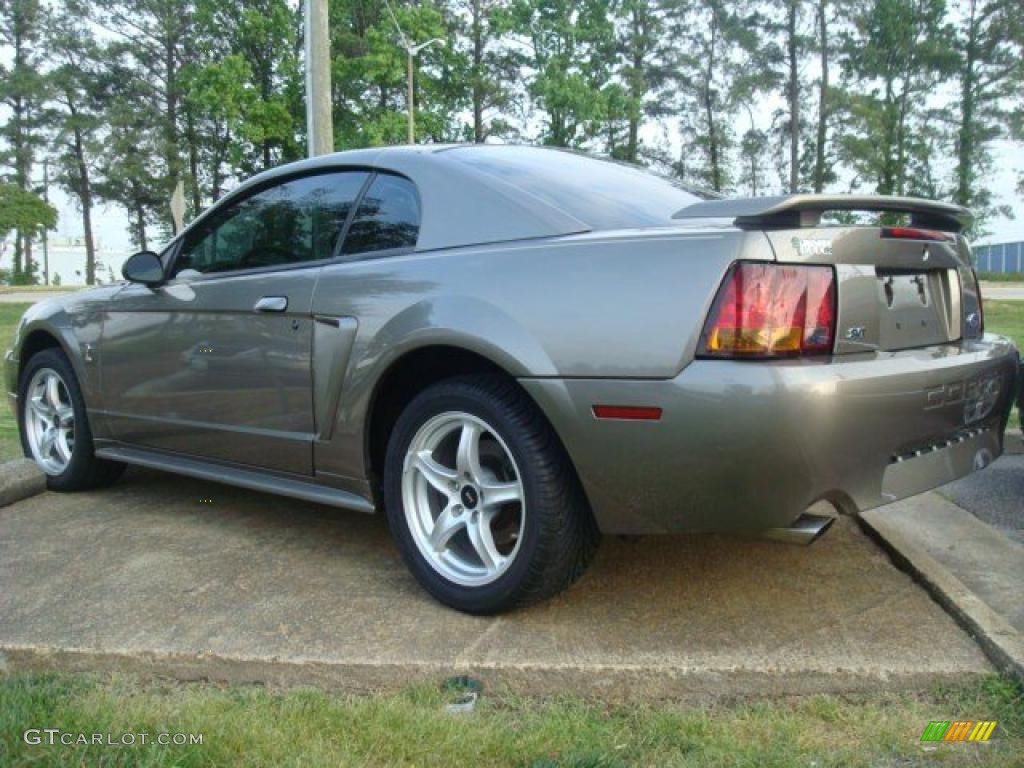 2001 Mustang Cobra Coupe - Mineral Grey Metallic / Medium Parchment photo #3