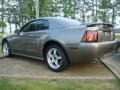 2001 Mineral Grey Metallic Ford Mustang Cobra Coupe  photo #3