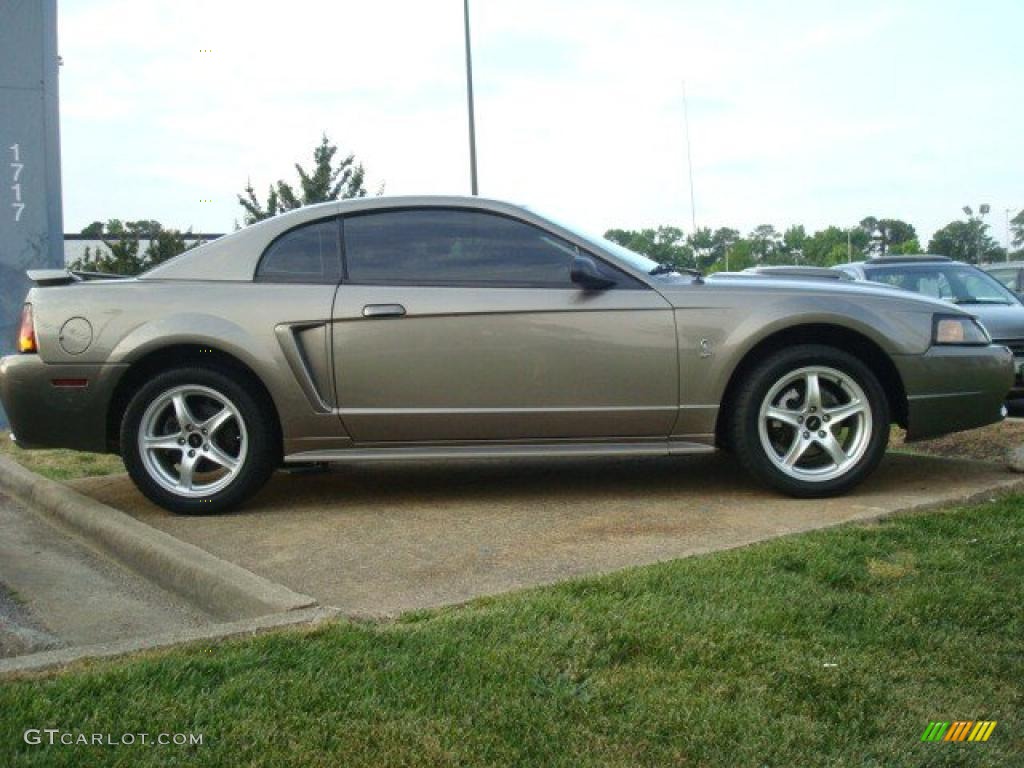 2001 Mustang Cobra Coupe - Mineral Grey Metallic / Medium Parchment photo #5