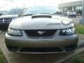 2001 Mineral Grey Metallic Ford Mustang Cobra Coupe  photo #7