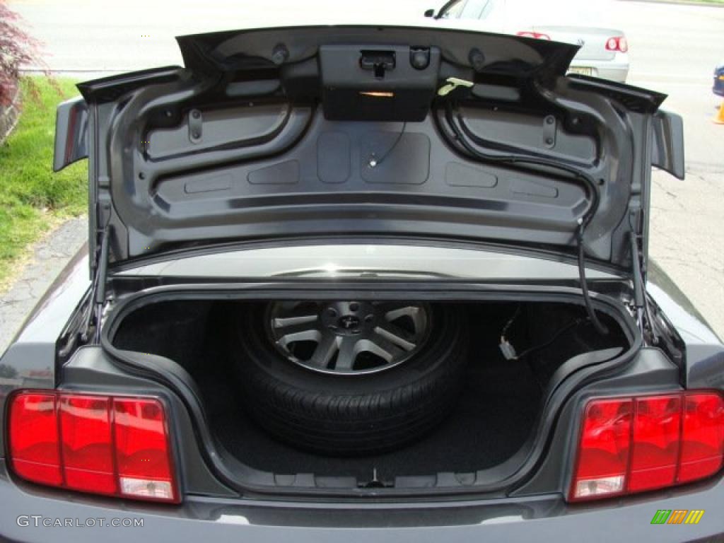 2007 Mustang GT Premium Coupe - Black / Dark Charcoal photo #13