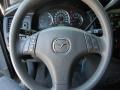 2006 Galaxy Gray Mica Mazda MPV LX  photo #21