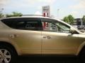 2007 Chardonnay Metallic Nissan Murano S AWD  photo #21