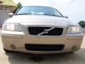 Lunar Gold Metallic - S60 2.5T Photo No. 10