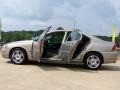 Lunar Gold Metallic - S60 2.5T Photo No. 16