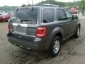 2010 Sterling Grey Metallic Ford Escape Limited V6 4WD  photo #4