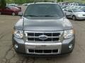 2010 Sterling Grey Metallic Ford Escape Limited V6 4WD  photo #7