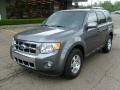 2010 Sterling Grey Metallic Ford Escape Limited V6 4WD  photo #8